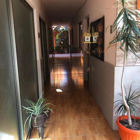 Ferienwohnung Casa Alejandra Antofagasta Exterior foto